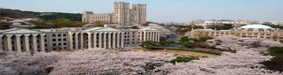 ������ѧ